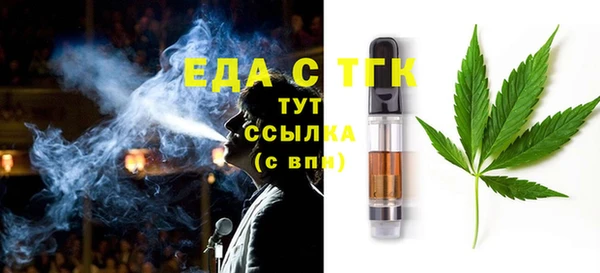 хмурый Аркадак
