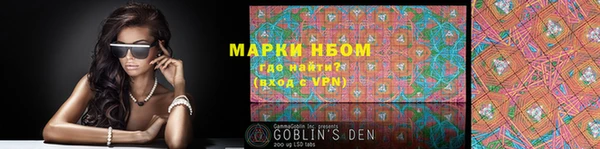 хмурый Аркадак