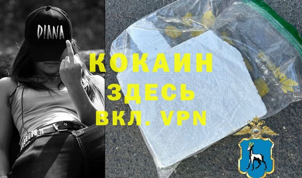 хмурый Аркадак