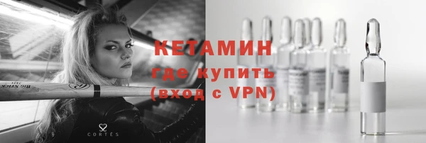 хмурый Аркадак