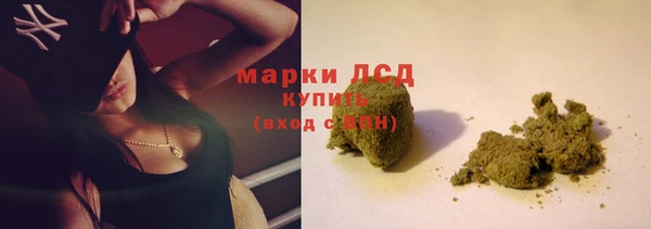хмурый Аркадак
