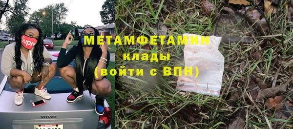 хмурый Аркадак