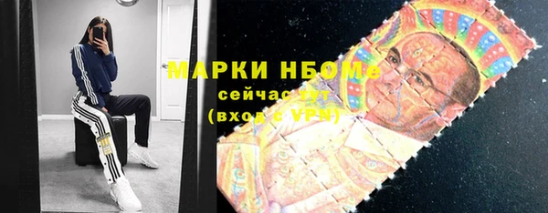 хмурый Аркадак