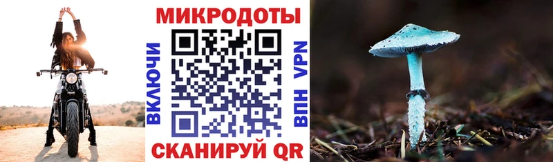 Псилоцибиновые грибы MAGIC MUSHROOMS  наркотики  площадка какой сайт  Гурьевск 