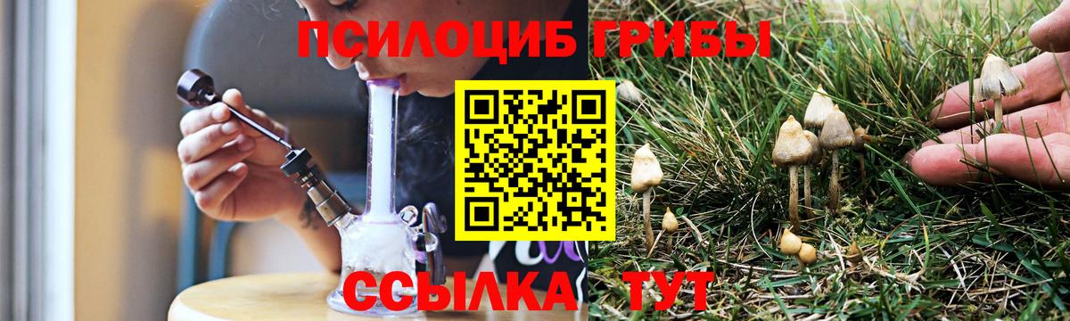 Гурьевск  Псилоцибиновые грибы мухоморы  Вход с VPN 