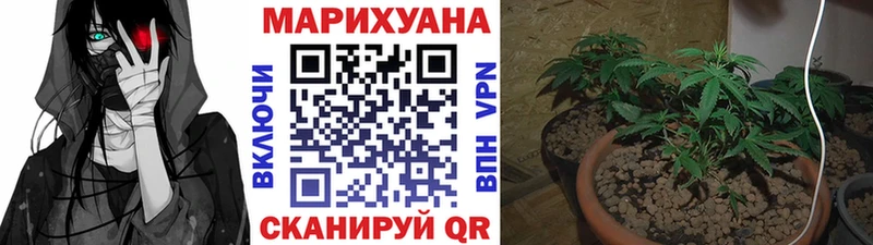 Каннабис ГИДРОПОН  Гурьевск 